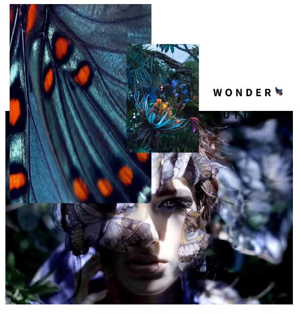 2019深圳時裝周倒計時 | She's蝶變主題秀，四大看點(diǎn)提前get！