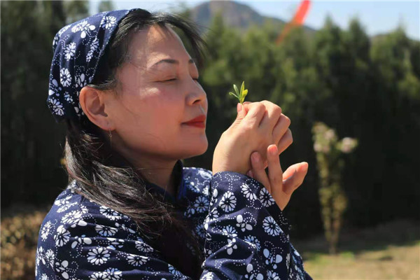 五蓮縣馬耳山茶暨第一屆文化節(jié)在大馬安村隆重開幕