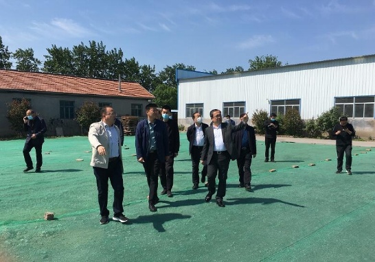 壽光市市委副書記李鵬帶隊(duì)調(diào)研重點(diǎn)工作開展情況