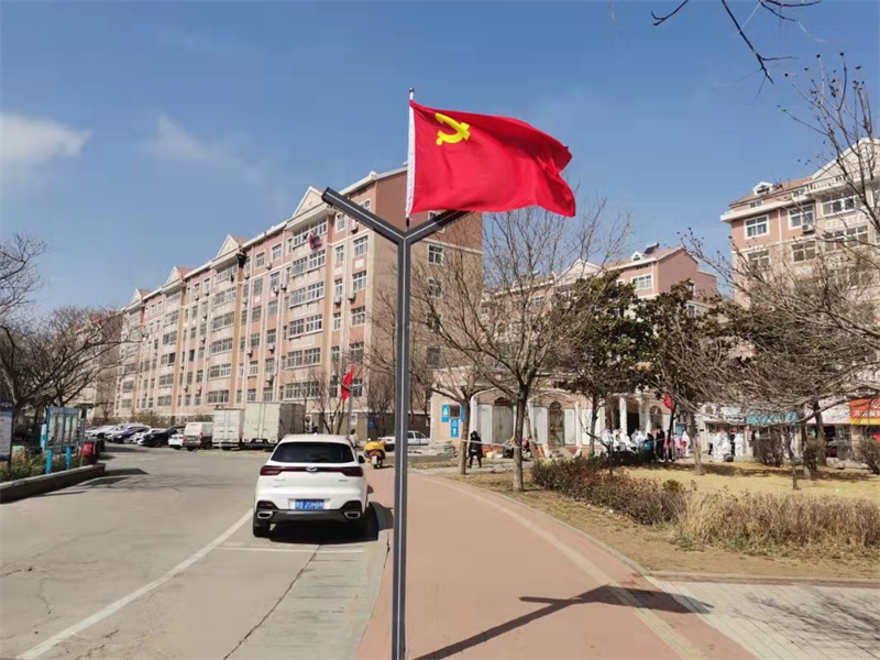 青島萊西水集街道黨旗飄揚 抗疫“集結(jié)號”吹響