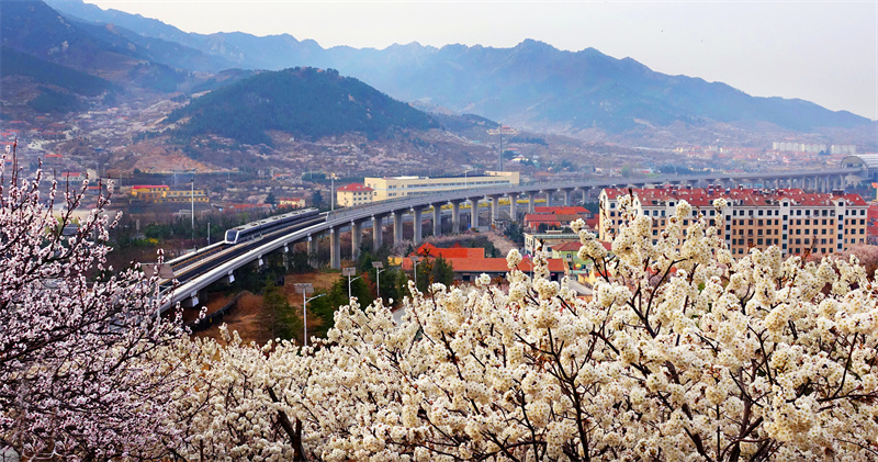 踔厲奮發(fā)奔未來 —嶗山區(qū)推進經(jīng)濟社會高質(zhì)量發(fā)展紀實