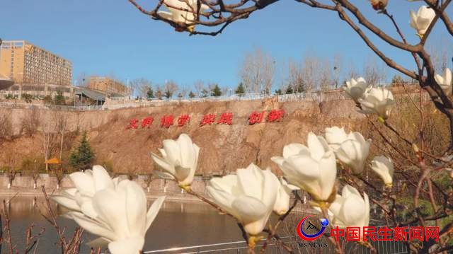 共赴春之約 恒星學(xué)院綻放“醉美”時(shí)光