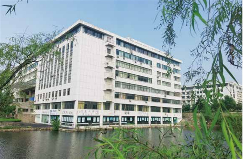 “凝聚精神的力量”恒星學院文化系列報道之十六：大學教學模式