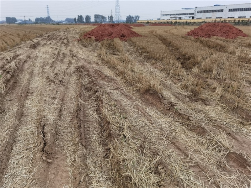 諸城市辛興鎮(zhèn)發(fā)展工業(yè)強(qiáng)行占耕地建廠(chǎng)，導(dǎo)致七八戶(hù)農(nóng)民無(wú)地可種