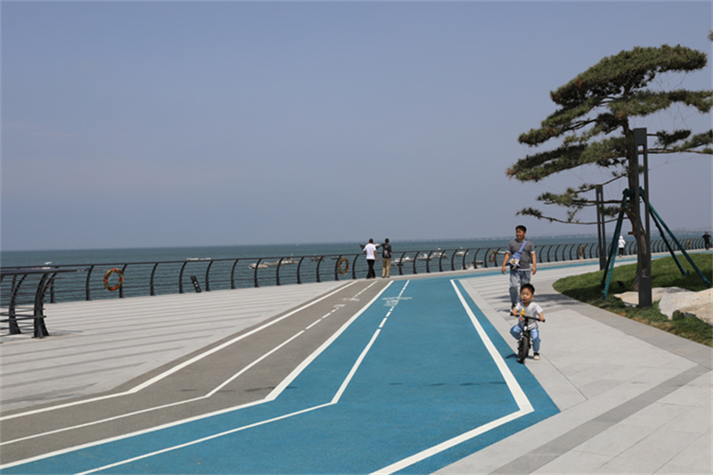 綠”動(dòng)海岸線，“道”處是風(fēng)景走，一起打卡市北濱海綠道看后海新“潮”