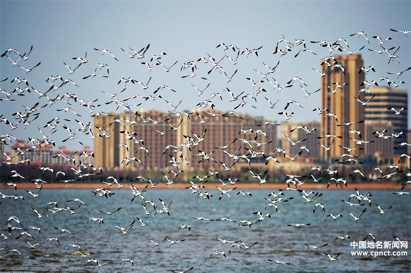 再添“國(guó)字號(hào)招牌”！青島市城陽(yáng)區(qū)獲評(píng)生態(tài)文明建設(shè)示范區(qū)